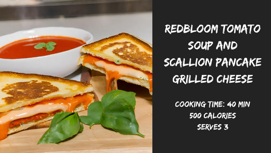 chili oil scallion pancake grilled cheese and tomato soup