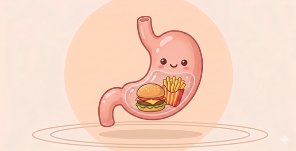 How Long Does Food Actually Stay in Your Stomach?
