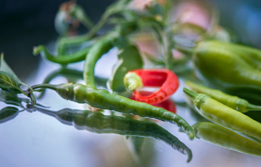 What are Thai Chili Peppers?